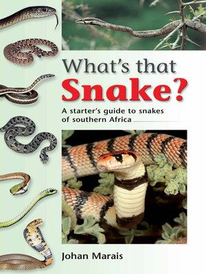 cover image of What's That Snake?